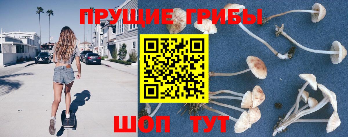 сколько стоит  Вход с VPN  Галлюциногенные грибы MAGIC MUSHROOMS  Луховицы  Галлюциногенные грибы GOLDEN TEACHER 