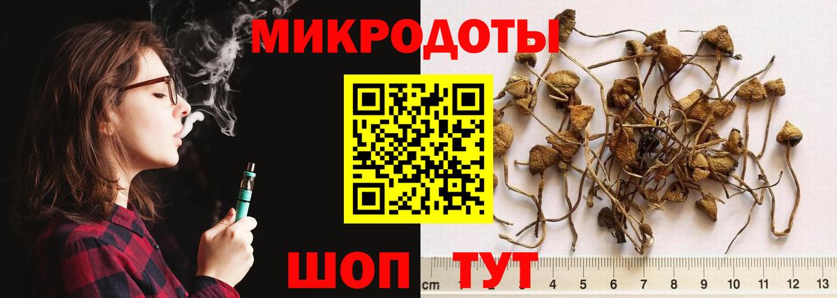 Галлюциногенные грибы Psilocybe Луховицы